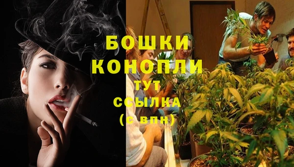 метадон Козловка
