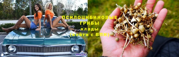 гидра Кинешма
