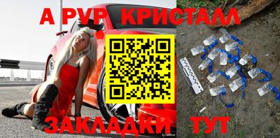 эйфоретик Кингисепп