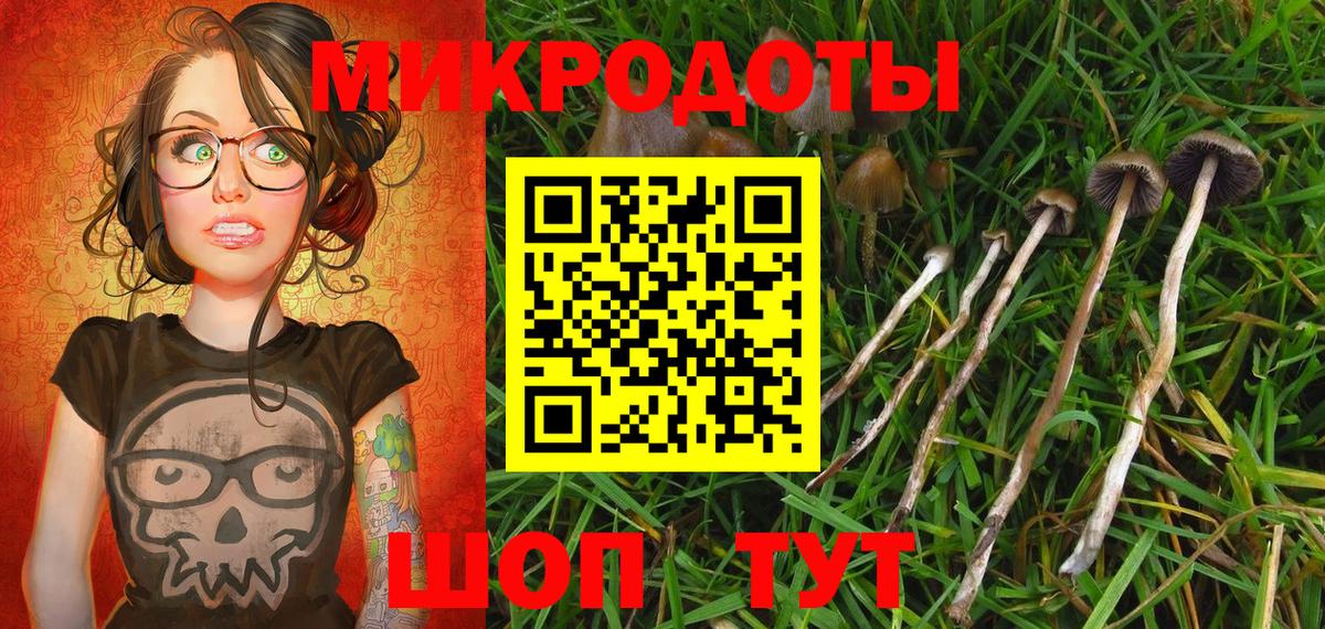Галлюциногенные грибы GOLDEN TEACHER Красный Сулин