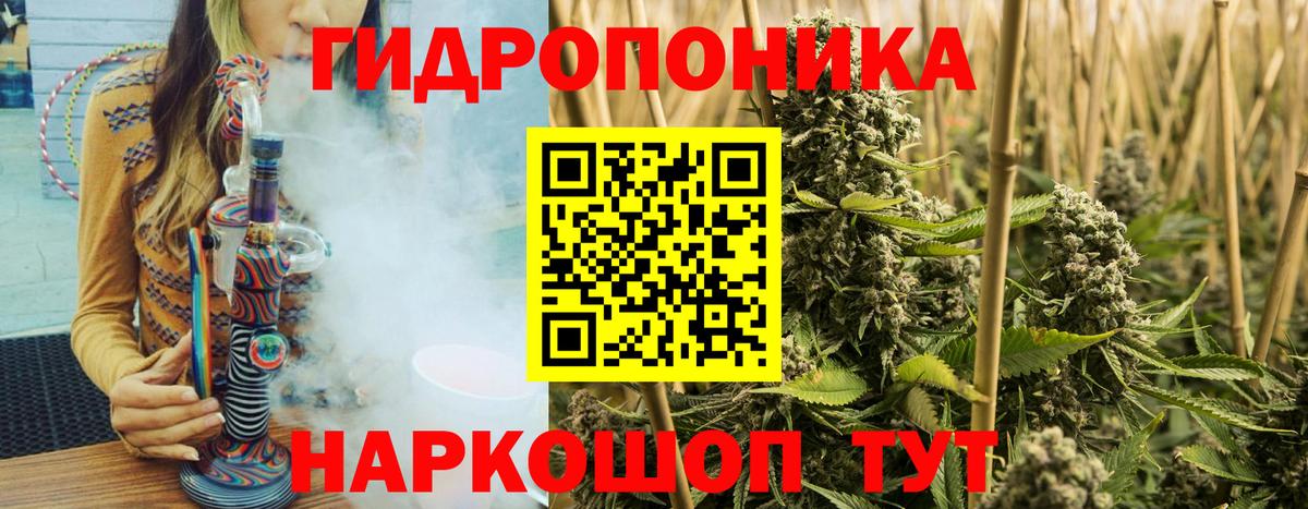 Бошки марихуана сатива Красный Сулин